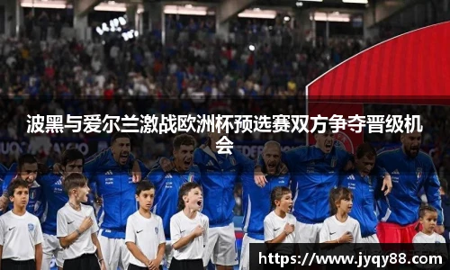 波黑与爱尔兰激战欧洲杯预选赛双方争夺晋级机会